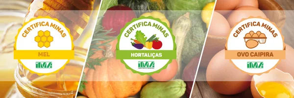 Com esses três novos produtos, o Estado passa a oferecer a emissão de 14 selos específicos