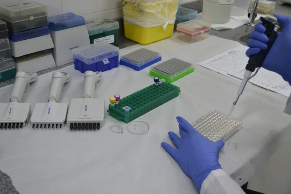 Minas retoma força-tarefa para coleta de DNA de condenados por crimes hediondos
