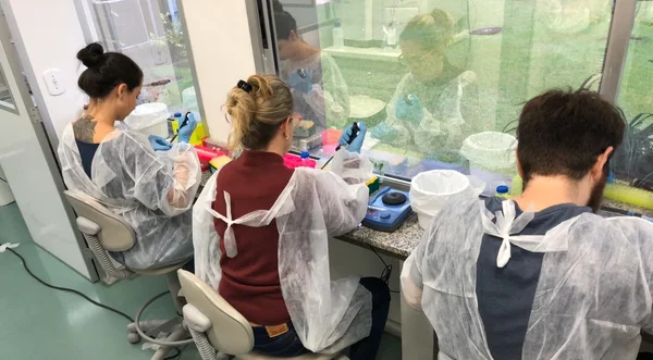 As amostras foram coletadas de pacientes atendidos na capital mineira