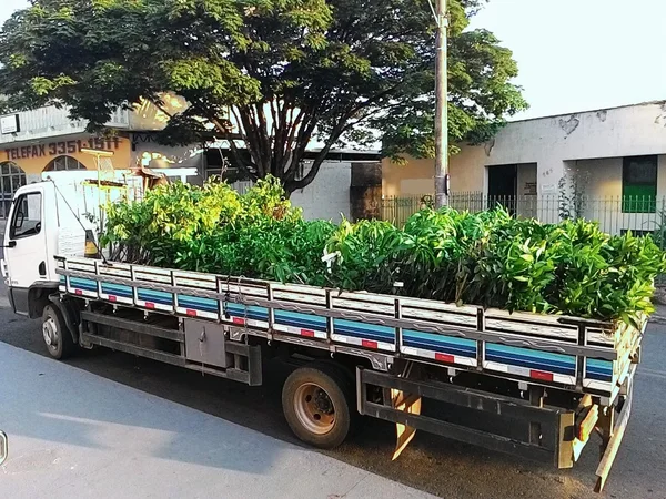 Prazo foi estendido para 30/4, porque muitos produtores não conseguiram fazer o processo no período normal