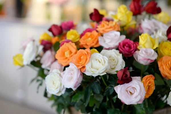 Campanha do Governo estimula envio de flores no Dia das Mães