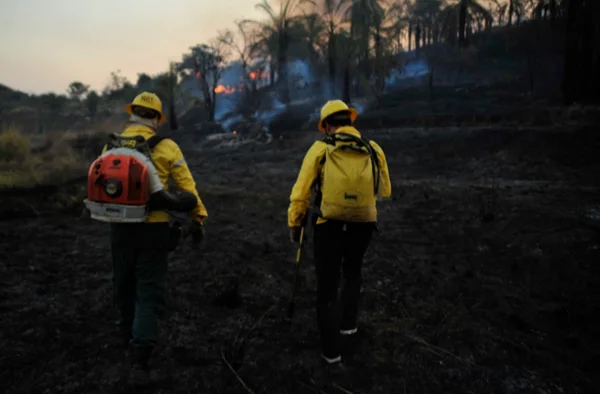 Funcionários das unidades têm participado de atividades com as equipes da Força-Tarefa Previncêndio e Corpo de Bombeiros