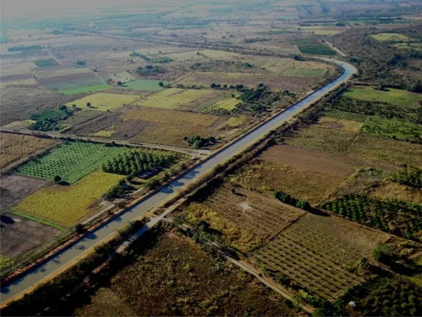 Somente dentro do Projeto Jaíba, segundo dados da Seapa, já foram entregues 225 títulos