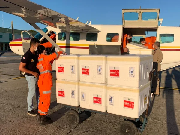 Em operação histórica, 81% das primeiras vacinas recebidas por Minas Gerais já chegaram às Regionais de Saúde
