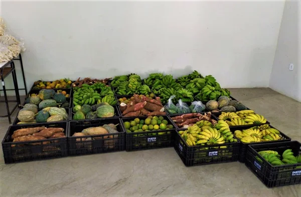 Com o surgimento da pandemia no ano passado, as escolas fecharam e muitos produtores foram impedidos de manter as entregas contratadas pelo Pnae