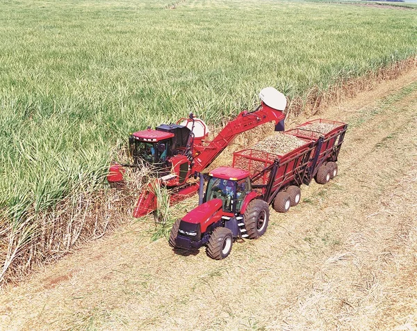 Produção mineira de cana-de-açúcar tem volume recorde na safra 2020/2021