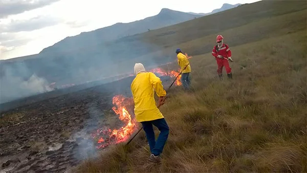 Iniciado primeiro Plano Regional de Manejo Integrado do Fogo do Estado no Jequitinhonha