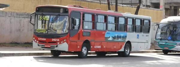 Sistema de Transporte Metropolitano terá quadro de horários diferenciado nesta quinta-feira (24/11)