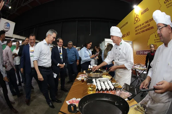 Crescimento da economia mineira beneficiará cadeia produtiva da avicultura