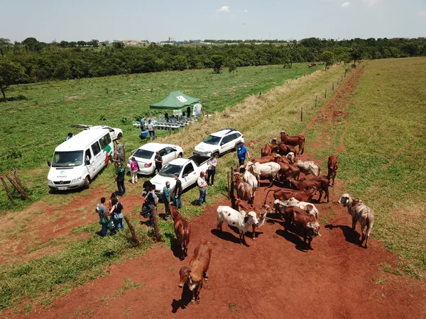 Agropecuária de baixa emissão de carbono é discutida em Dia de Campo na Epamig