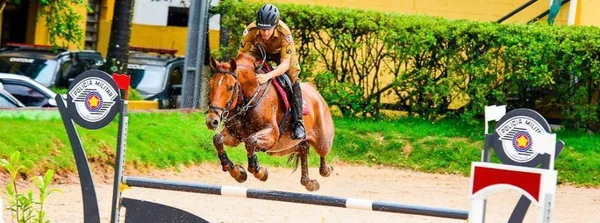 Conjuntos de hipismo da Cavalaria da PMMG são premiados em Concurso Hípico Internacional em São Paulo