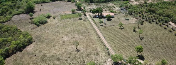 Palmatech 2023 e VI Congresso de Palma são encerrados em Montes Claros
