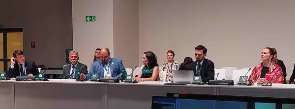 Governo de Minas debate transição para energia renovável na COP28