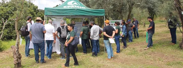 Epamig anuncia data oficial do Azeitech 2024