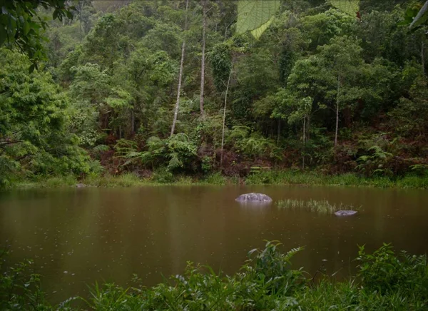 Unidades de conservação particulares contribuem para preservação de 113 mil hectares de mata em Minas
