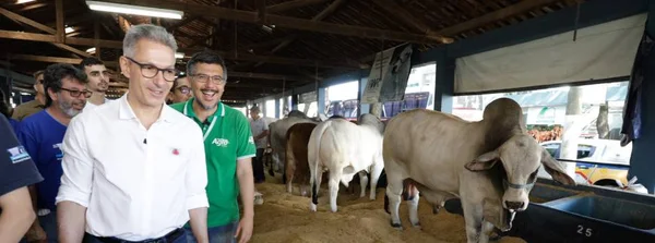 Governo de Minas promove série de ações para produtores e mercado na 89ª ExpoZebu