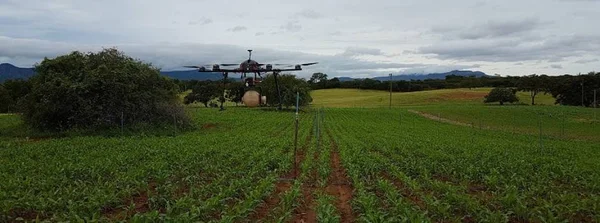 Governo de Minas apresenta soluções em inovação tecnológica para o agro