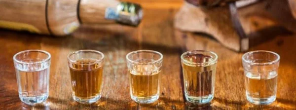 Projeto de incentivo à regularização da produção e consumo seguro de cachaça é lançado em Uberlândia 