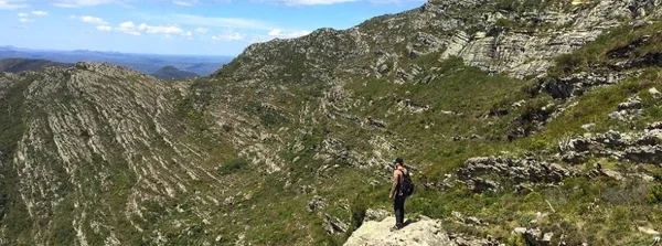 Duas novas espécies de plantas são encontradas na cordilheira do Espinhaço, no Norte de Minas