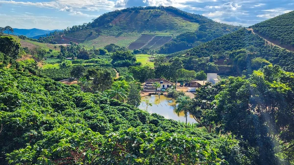 Exportações do agro mineiro atingem US$ 6,6 bilhões de janeiro a maio