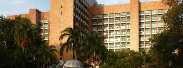 Beneficiários devem estar atentos a fake news em relação ao Censo Previdenciário