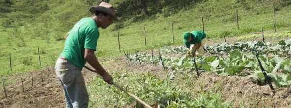 Minas Gerais tem edital de fomento ao cooperativismo aberto até domingo (28/7)