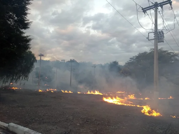 Queima de equipamentos e rompimento de cabos: Cemig alerta para queimadas na vegetação