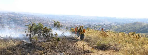 Guardiões da natureza, brigadistas atuam de forma fundamental no combate a incêndios florestais   