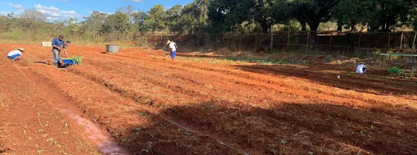 Mais de uma tonelada de alimentos cultivada por jovens do Socioeducativo de Sete Lagoas é doada para instituições beneficentes