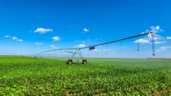 Com empenho do Governo de Minas, irrigação impulsiona a produtividade nas lavouras mineiras