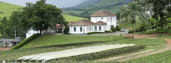Epamig promove capacitação sobre uva e vinho