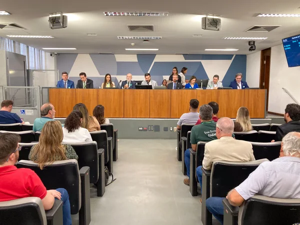 Governo de Minas destaca investimento contra incêndios no campo em audiência pública na ALMG