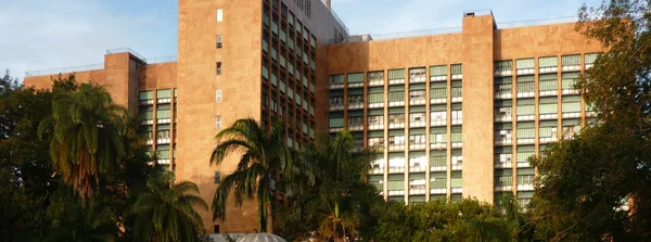 Censo Previdenciário: Ipsemg divulga prazo para que servidores ativos regularizarem informações 