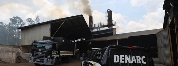 Polícia Civil incinera duas toneladas de drogas apreendidas na capital
