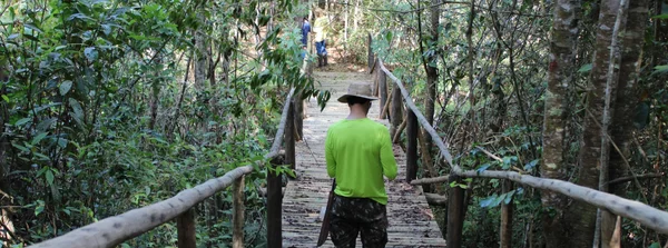 Expedição no Noroeste de Minas e em Goiás amplia conhecimento sobre plantas do Cerrado