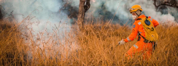 Em ano recorde de atendimentos, balanço dos bombeiros revela redução de mais de 20% em área queimada nas Unidades de Conservação de Minas