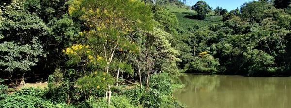 Unidades Regionais da Feam alcançam 100% de cumprimento nos prazos de análise de processos de licenciamento ambiental em 2024