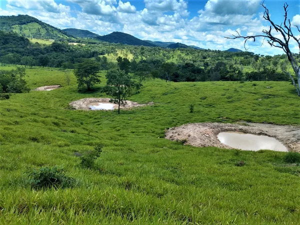 Projeto da Emater leva sustentabilidade à região das Matas de Minas