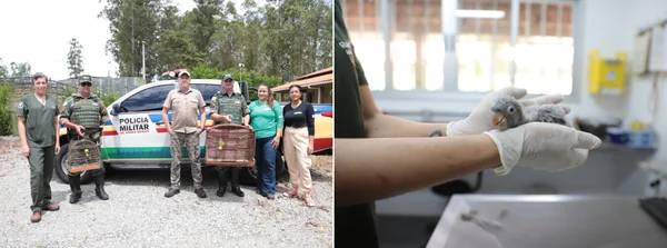Centros de triagem e reabilitação recebem investimentos para atendimento a animais silvestres em Minas Gerais