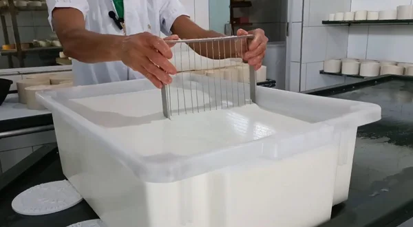 Instituto Mineiro de Agropecuária realiza consulta pública para regulamentação do queijo Cabacinha