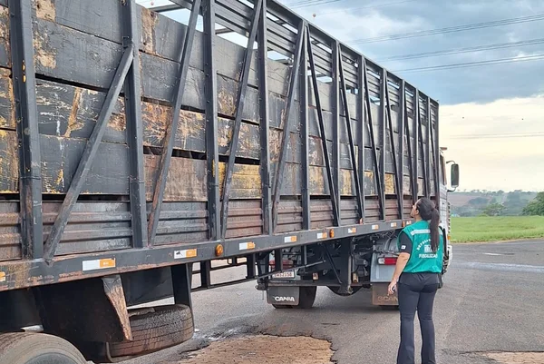 Minas Gerais oferece consulta on-line de Guias de Trânsito Animal para reforço da segurança agropecuária 