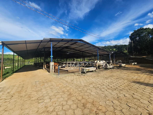 Instituto Mineiro de Agropecuária certifica primeira propriedade leiteira no Sul do estado