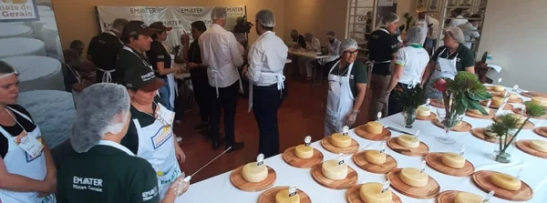 Temporada de concursos de queijos artesanais movimenta cidades mineiras