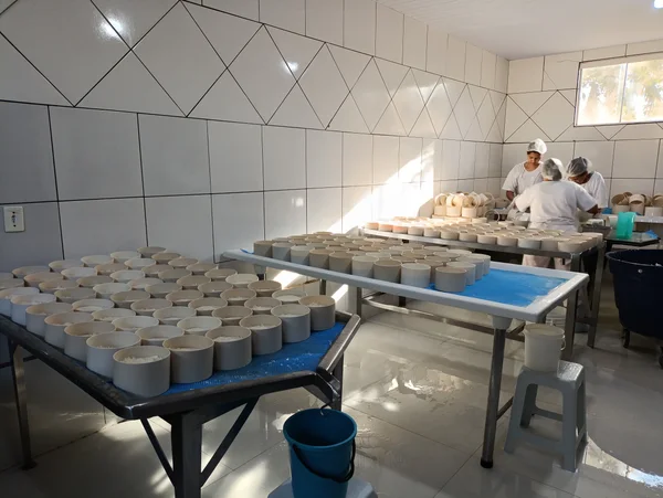 Instituto Mineiro de Agropecuária atualiza decreto que moderniza a inspeção de produtos de origem animal no estado 