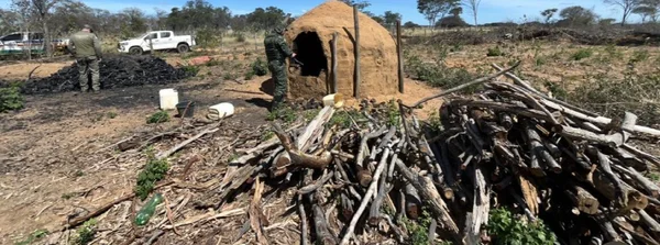 Operação Divisa combate comércio ilegal de carvão vegetal no Norte de Minas