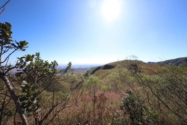 Governo de Minas promove seminário que debate a sustentabilidade no Cerrado e prepara o Estado para a COP30
