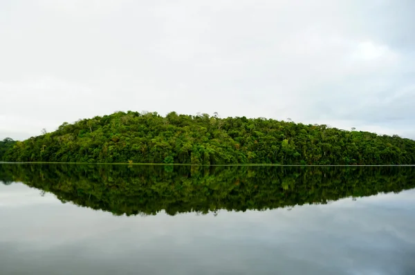 Sisema promove Semana do Meio Ambiente com foco em transformação climática e sustentável