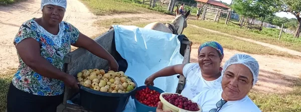 Com apoio da Emater-MG, comunidade do Norte de Minas aposta em produção de polpas de frutas do Cerrado