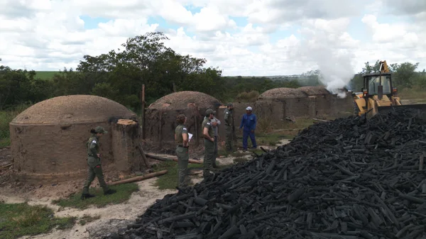 Minas Gerais amplia transparência com novo relatório de fiscalização ambiental moderno e interativo