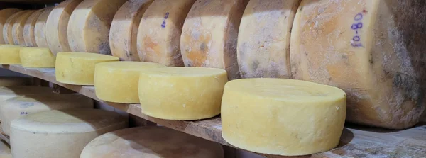 Monitoramento da qualidade dos queijos artesanais auxilia produtores a melhorar renda e conquistar prêmios